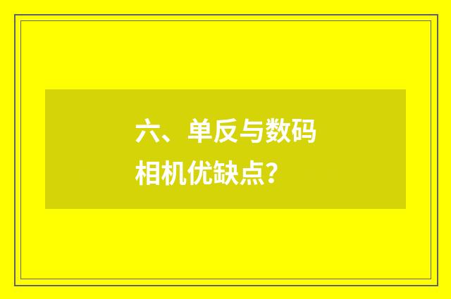 六、单反与数码相机优缺点?
