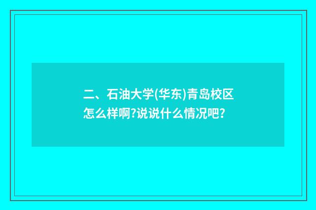 二、石油大学(华东)青岛校区怎么样啊?说说什么情况吧?