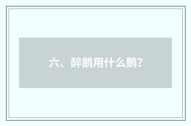 六、醉鹅用什么鹅?