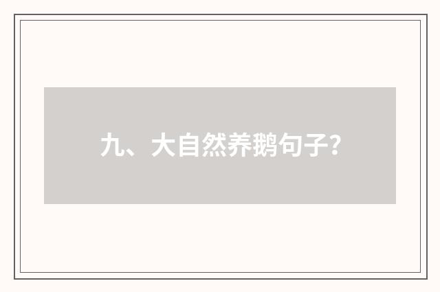 九、大自然养鹅句子？