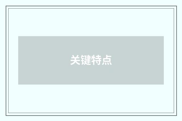 关键特点