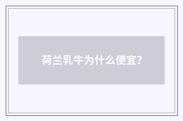 荷兰乳牛为什么便宜?