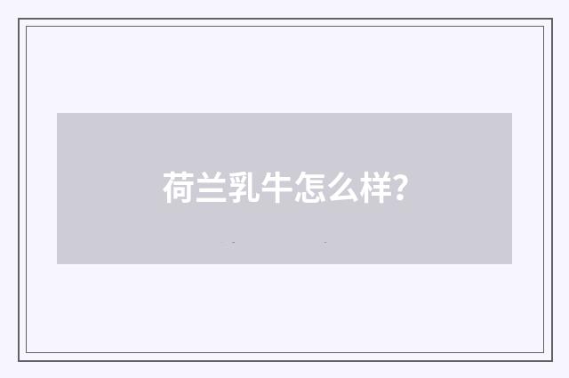 荷兰乳牛怎么样？