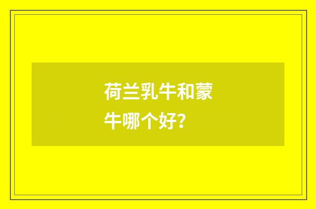 荷兰乳牛和蒙牛哪个好？