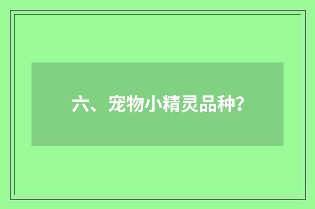 六、宠物小精灵品种?