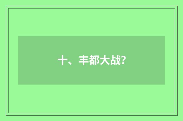 十、丰都大战？