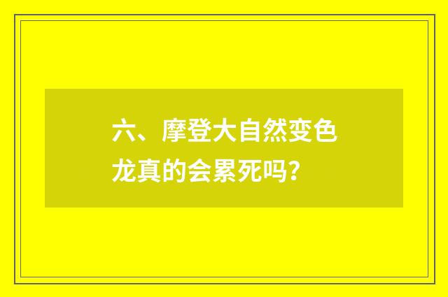 六、摩登大自然变色龙真的会累死吗？