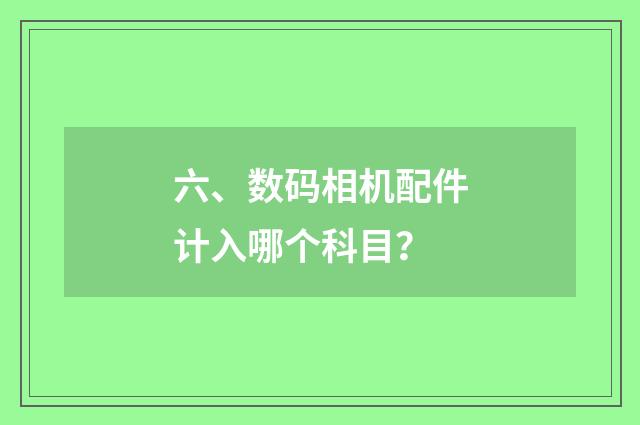 六、数码相机配件计入哪个科目？