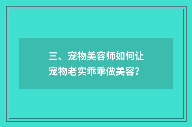 三、宠物美容师如何让宠物老实乖乖做美容？
