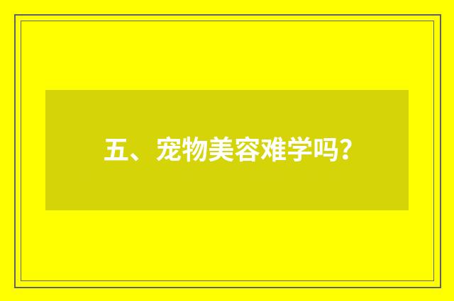 五、宠物美容难学吗?