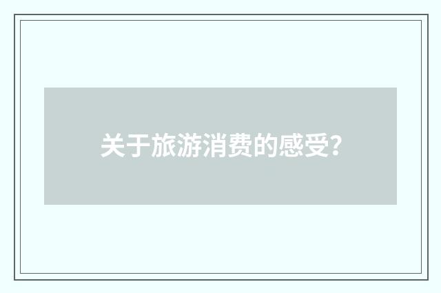 关于旅游消费的感受？