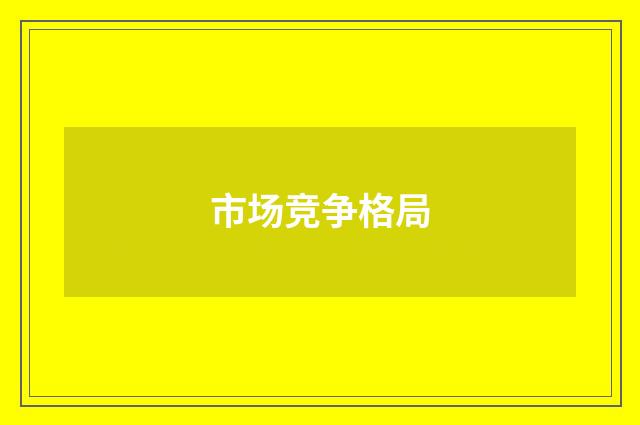 市场竞争格局