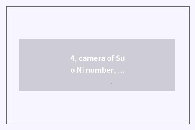 4, camera of Suo Ni number, computer connection?
