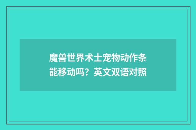 魔兽世界术士宠物动作条能移动吗?英文双语对照