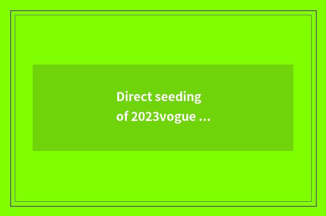 Direct seeding of 2023vogue fashionable grand ceremony?