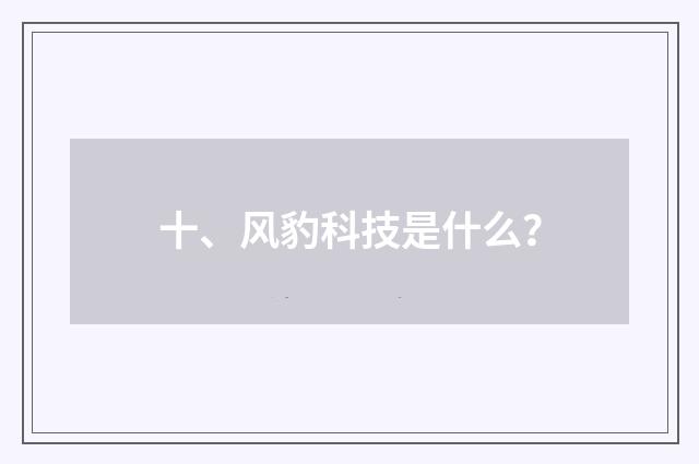 十、风豹科技是什么？