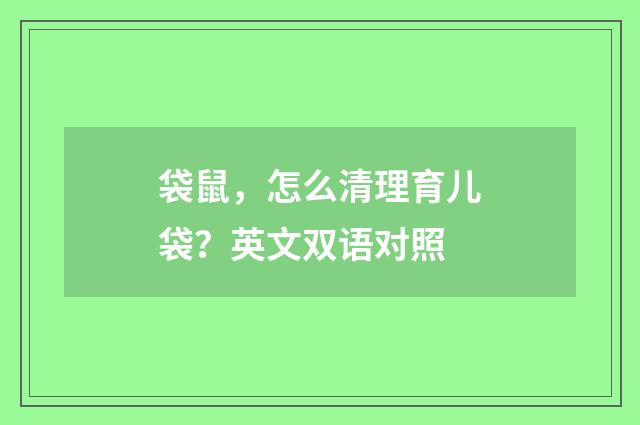 袋鼠，怎么清理育儿袋？英文双语对照