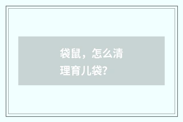 袋鼠,怎么清理育儿袋?