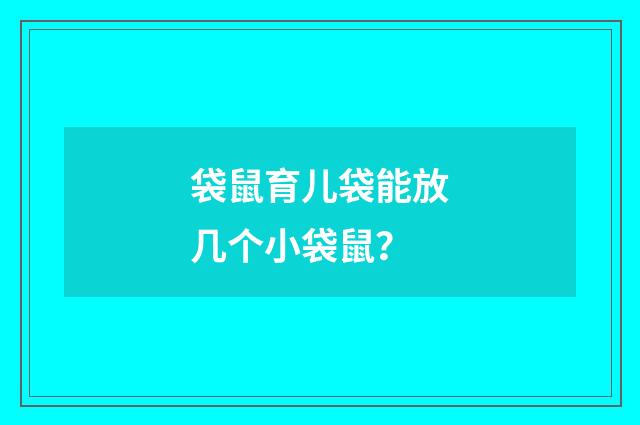 袋鼠育儿袋能放几个小袋鼠?