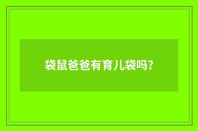 袋鼠爸爸有育儿袋吗?