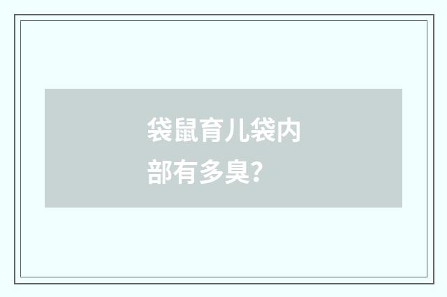 袋鼠育儿袋内部有多臭？