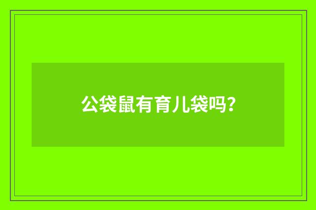 公袋鼠有育儿袋吗?