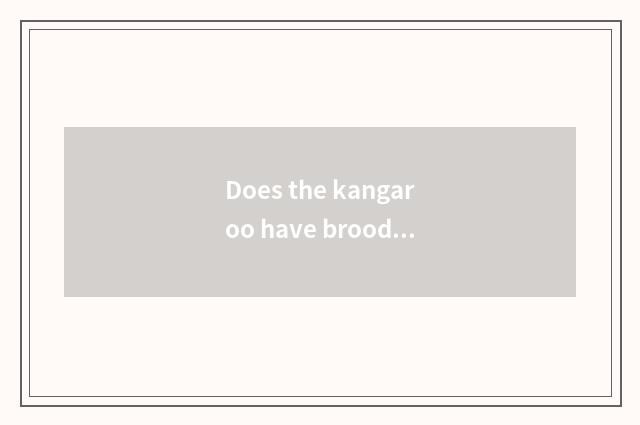 Does the kangaroo have brood pouch?