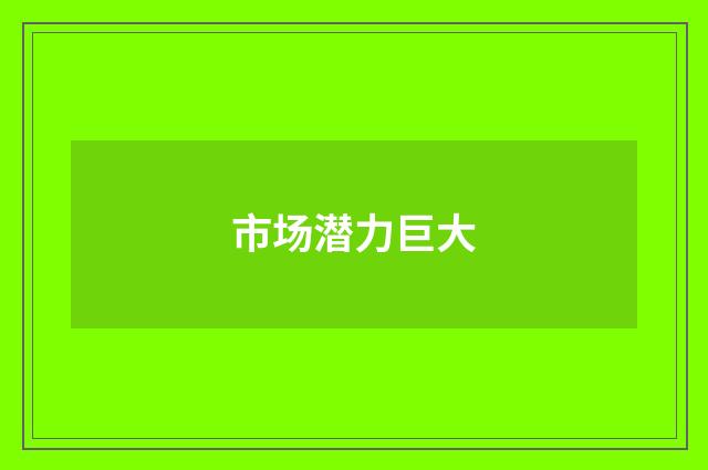 市场潜力巨大