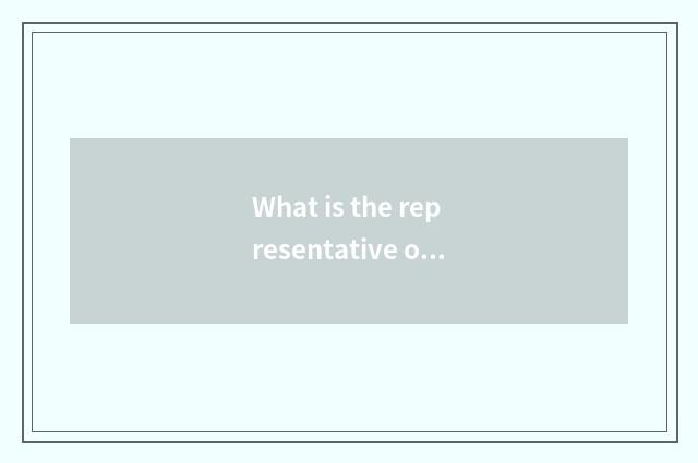 What is the representative of samite recreation platform?