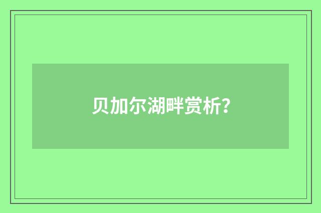 贝加尔湖畔赏析?