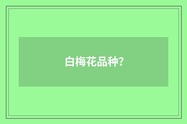 白梅花品种?