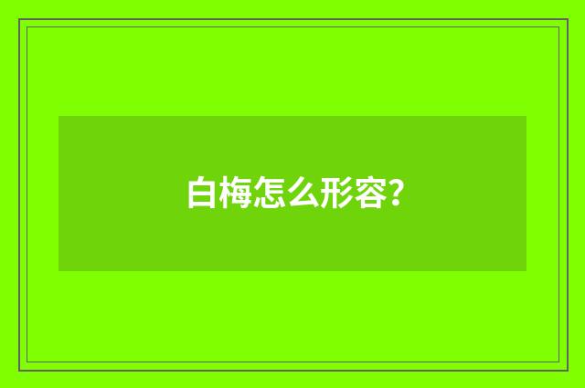 白梅怎么形容?