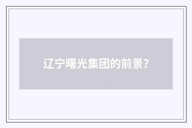 辽宁曙光集团的前景?