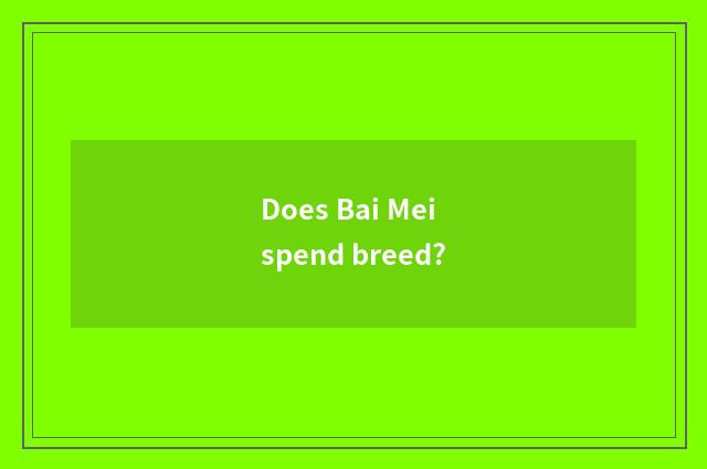 Does Bai Mei spend breed?