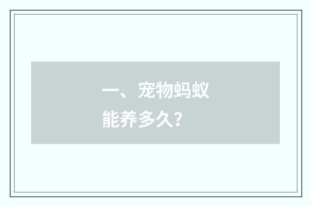 一、宠物蚂蚁能养多久？