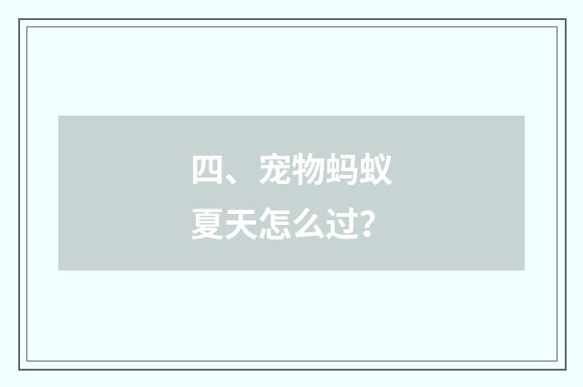 四、宠物蚂蚁夏天怎么过?