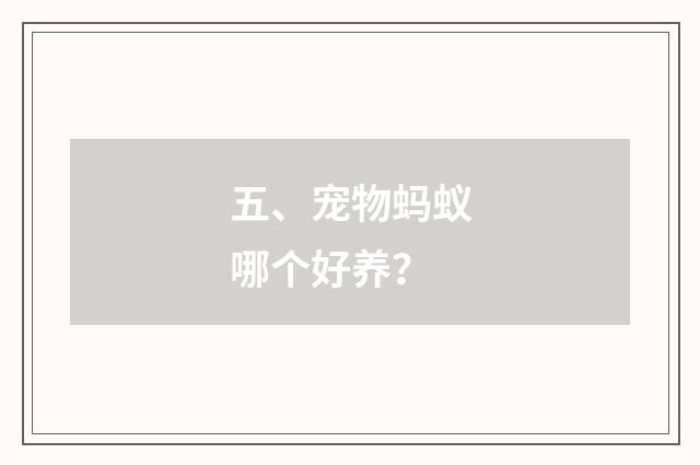 五、宠物蚂蚁哪个好养?
