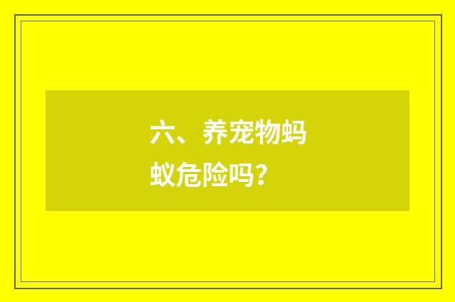 六、养宠物蚂蚁危险吗?