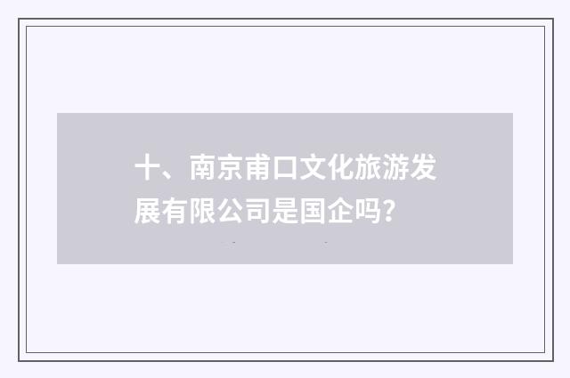 十、南京甫口文化旅游发展有限公司是国企吗?