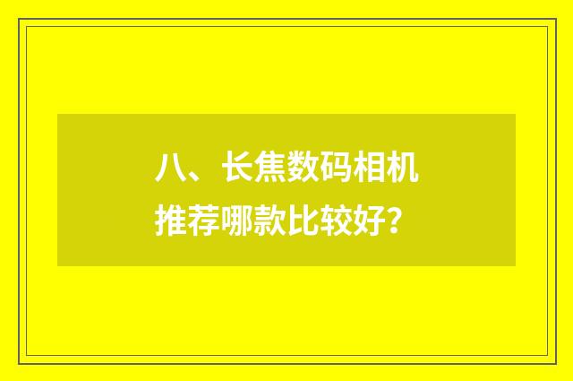 八、长焦数码相机推荐哪款比较好？