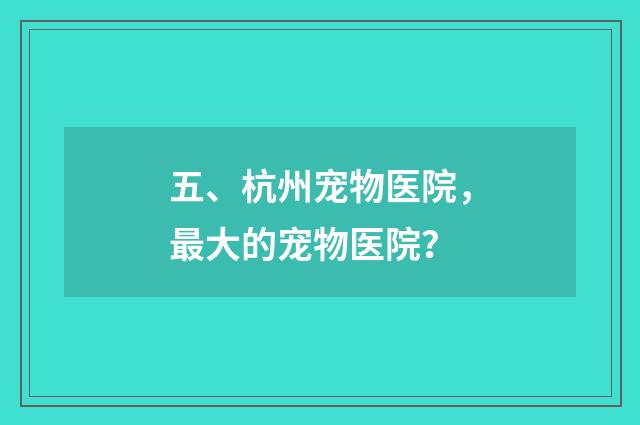 五、杭州宠物医院,最大的宠物医院?