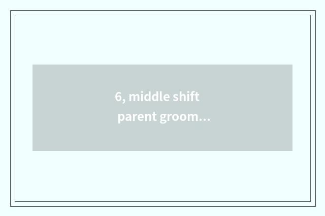6, middle shift parent grooms record sheet, groom how is content filled?