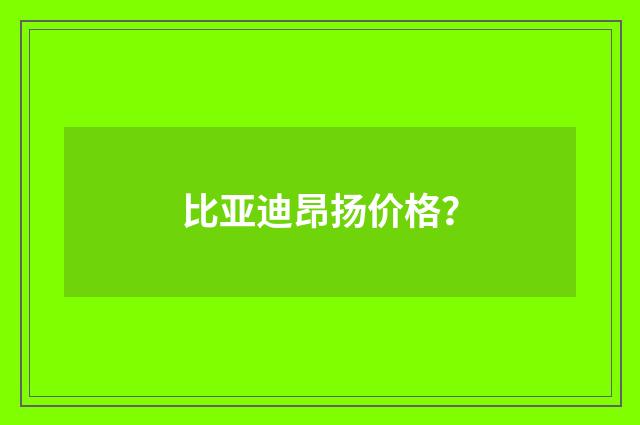 比亚迪昂扬价格?