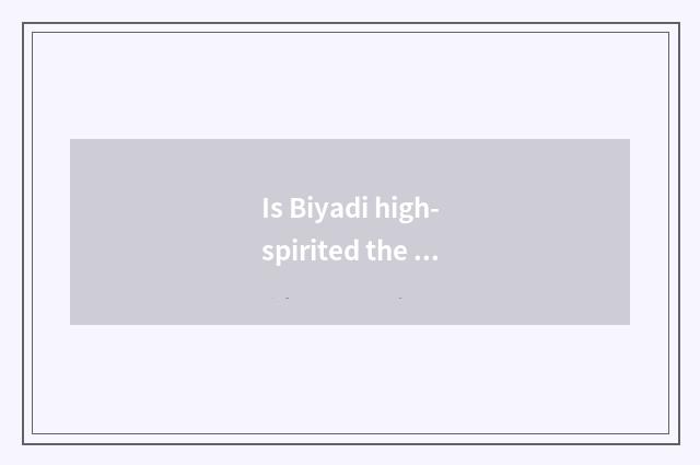 Is Biyadi high-spirited the price?