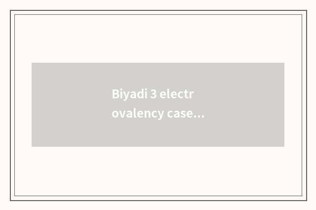 Biyadi 3 electrovalency case?
