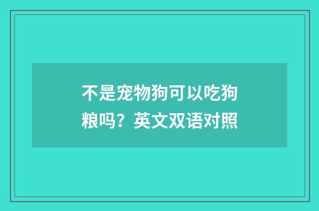 不是宠物狗可以吃狗粮吗?英文双语对照