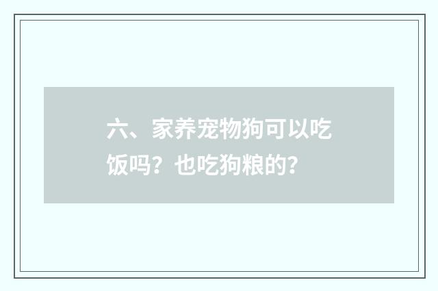 六、家养宠物狗可以吃饭吗?也吃狗粮的?