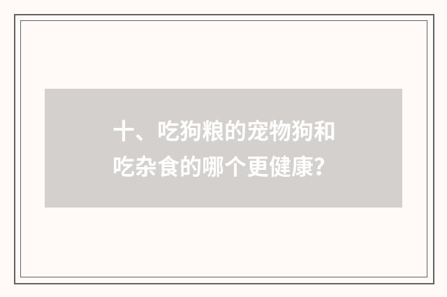十、吃狗粮的宠物狗和吃杂食的哪个更健康?
