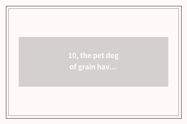 10, the pet dog of grain having a dog and eat omnivorous which more healthy?