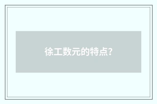 徐工数元的特点?